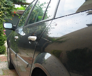 Carrosserie